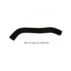Dayco Moulded Radiator Hose