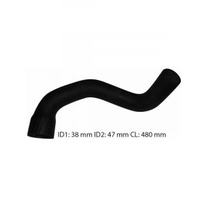 Dayco Moulded Radiator Hose