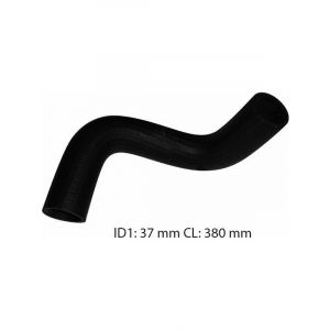 Dayco Moulded Radiator Hose