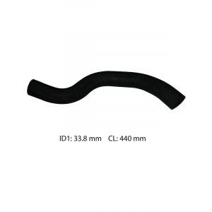 Dayco Moulded Radiator Hose