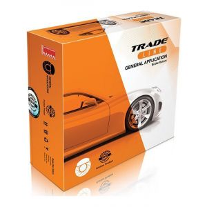 Bremtec Trade-Line Disc Brake Rotor (Pair) 298mm