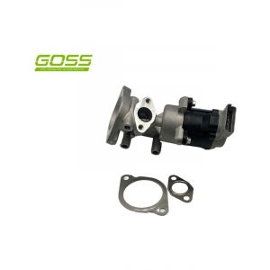 Goss EGR Valve