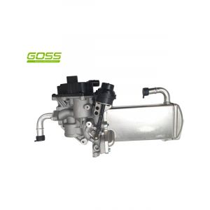 Goss EGR Valve & Cooler Assy