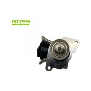 Goss EGR Valve