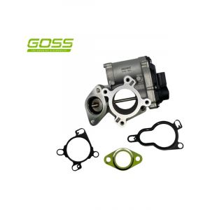 Goss EGR Valve