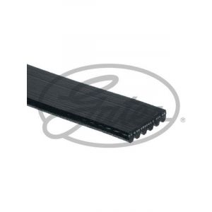 Gates Automotive Premium Micro V-Ribbed Belt