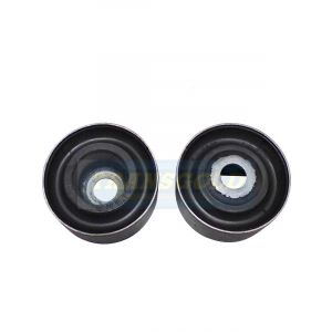 Transgold Rear Diff Rear Bush Set