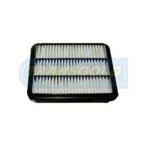 Transgold Air Filter