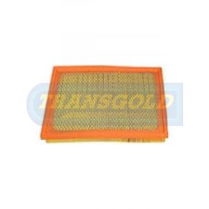 Transgold Air Filter