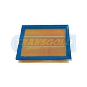 Transgold Air Filter