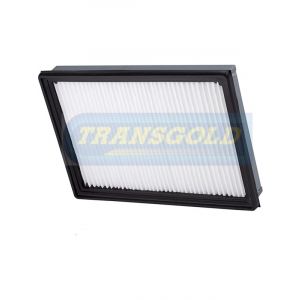 Transgold Air Filter