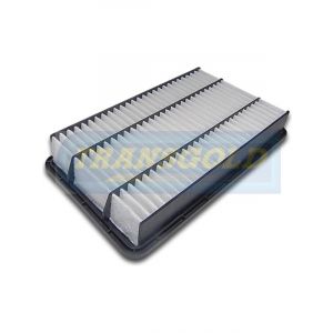 Transgold Air Filter