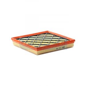Transgold Air Filter