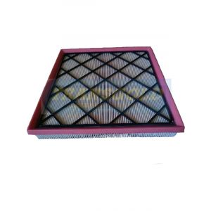 Transgold Air Filter