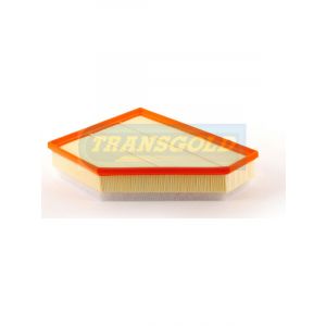Transgold Air Filter