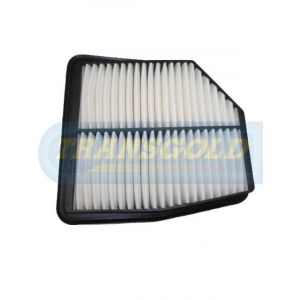 Transgold Air Filter