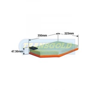 Transgold Air Filter