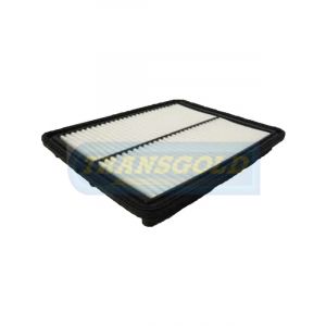 Transgold Air Filter