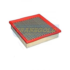 Transgold Air Filter