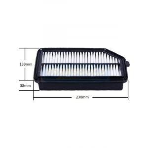 Transgold Air Filter