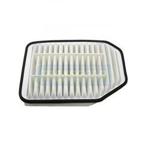 Transgold Air Filter