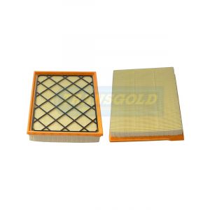 Transgold Air Filter