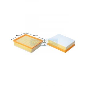 Transgold Air Filter