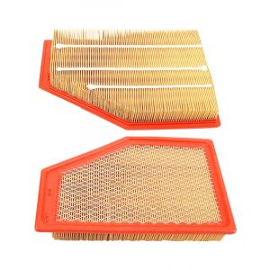 Transgold Air Filter