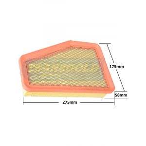 Transgold Air Filter