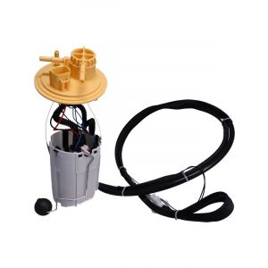 PAT Electronic Fuel Pump Assembly