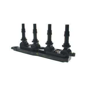 PAT Ignition Coil