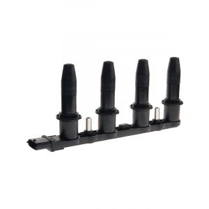 PAT Ignition Coil