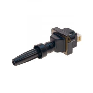 PAT Ignition Coil