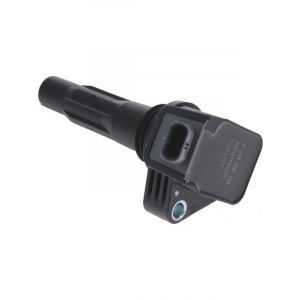 PAT Ignition Coil
