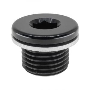 Raceworks M12 x 1.25 In Hex Plug w/ Washer