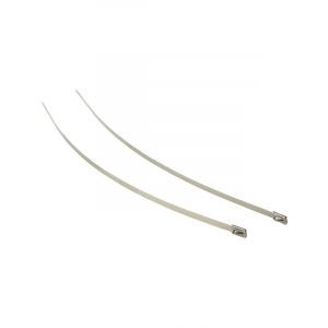 Raceworks 8mm Ss Locking Ties 2Pk 350mm