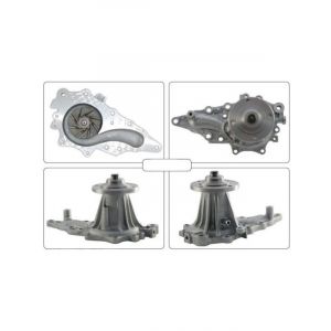 Alcius Water Pump