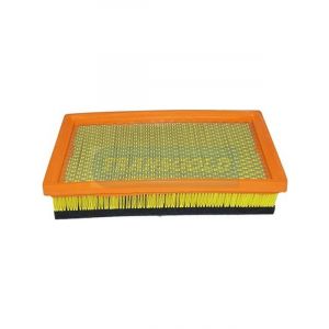 Transgold Air Filter