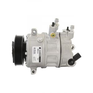 Sanden Compressor