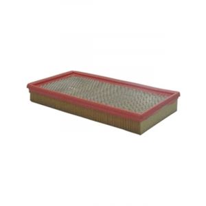 Sakura Air Filter