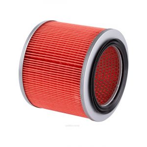 Ryco Air Filter