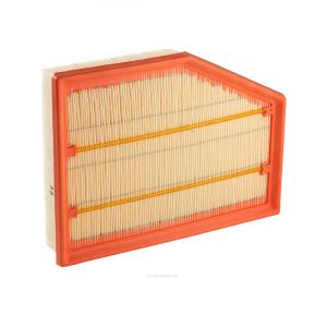 Ryco Air Filter