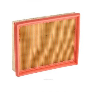 Ryco Air Filter
