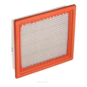 Ryco Air Filter