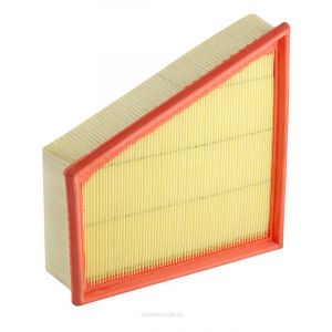 Ryco Air Filter