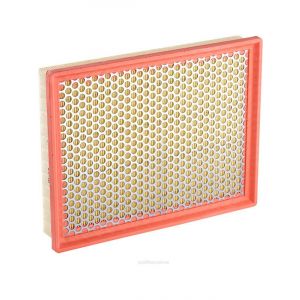 Ryco Air Filter