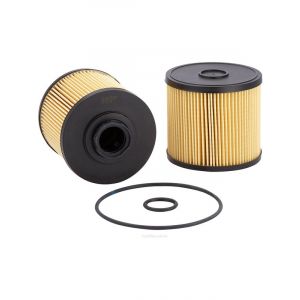 Ryco Fuel Filter