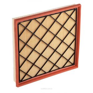 Ryco Air Filter