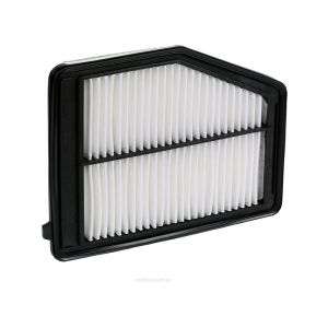 Ryco Air Filter