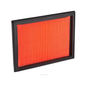 Ryco Air Filter